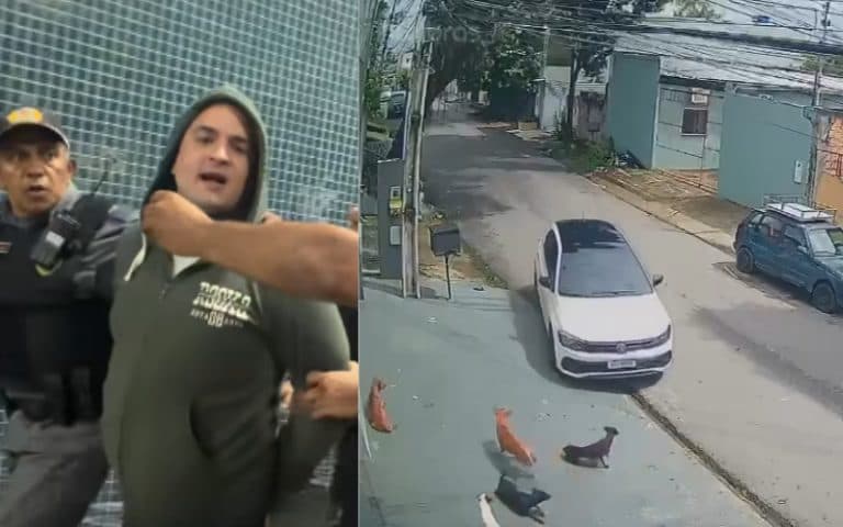 “Faria de novo”, diz suspeito de atropelar e matar cachorro em Manaus