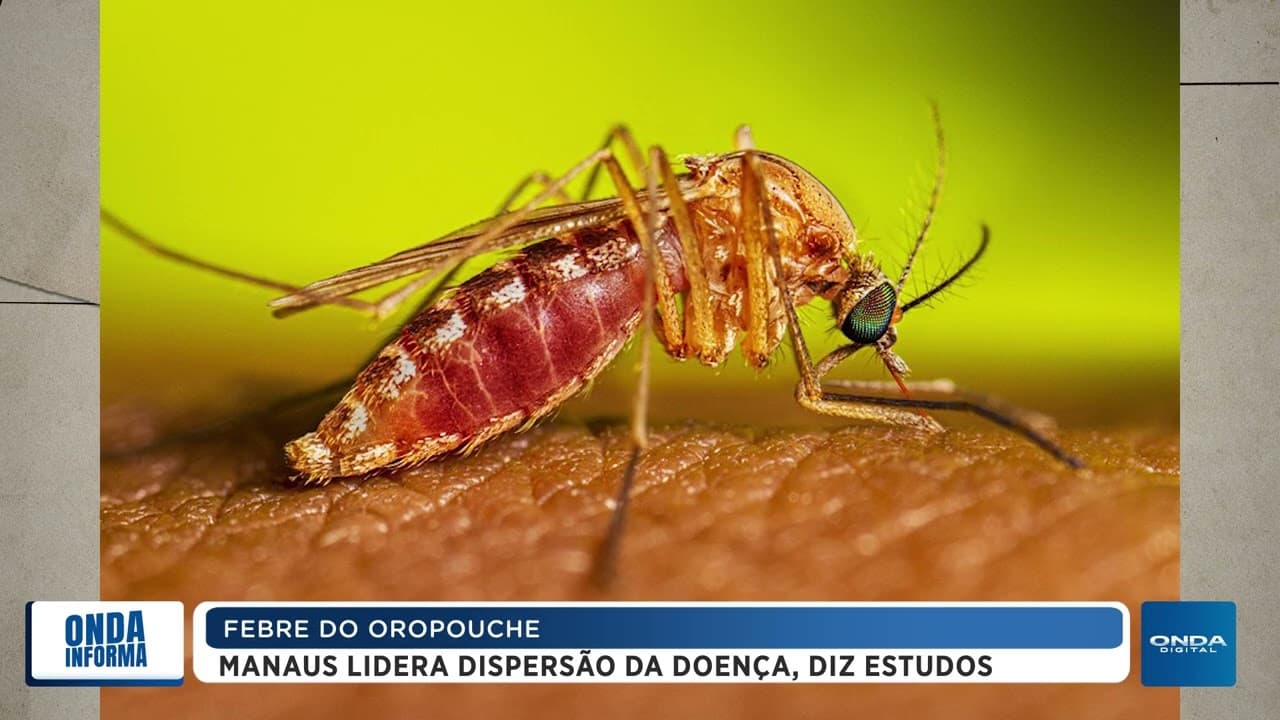 FEBRE DO OROPOUCHE | CMM aprova indenização para agentes de saúde