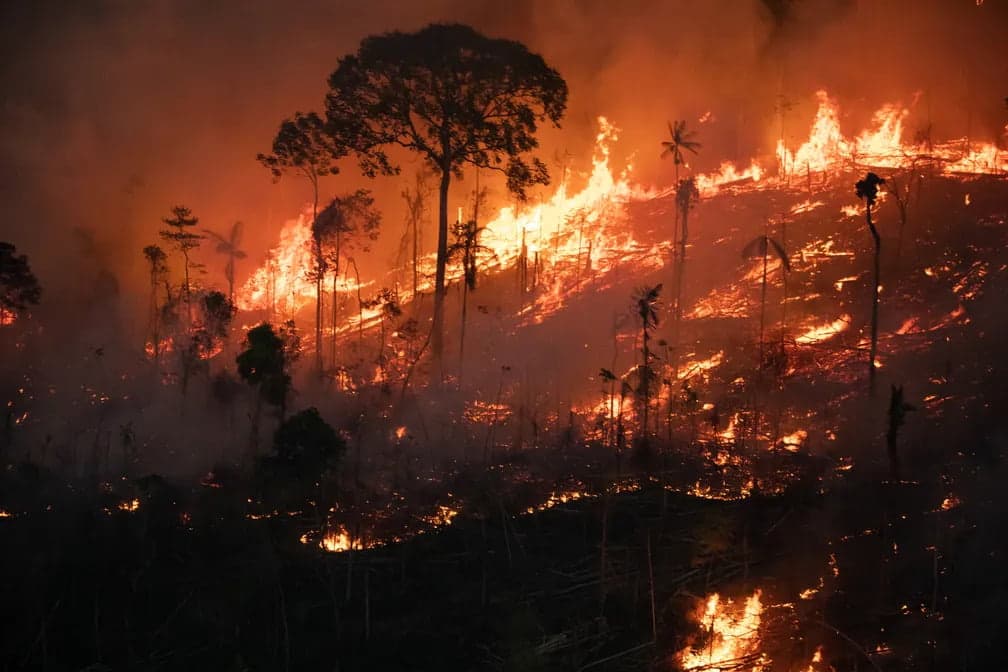 AM teve 7 mil focos de queimadas em setembro: Veja vídeo de incêndio em Autazes