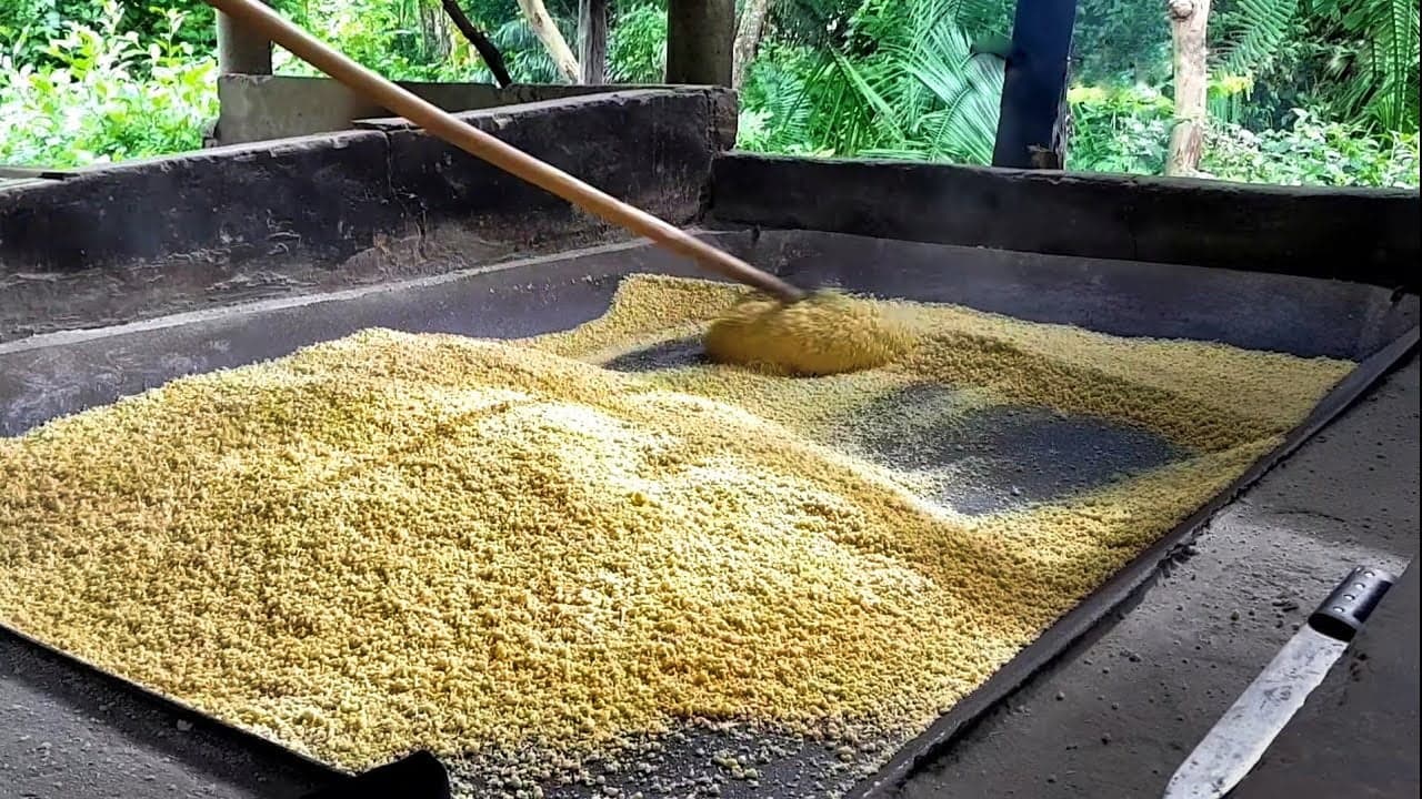 Edital vai distribuir kits &#8216;Casa de Farinha&#8217; para associações rurais; veja como participar