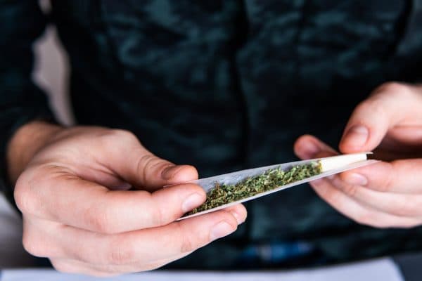 Uso de maconha pode encolher testículos, diz estudo