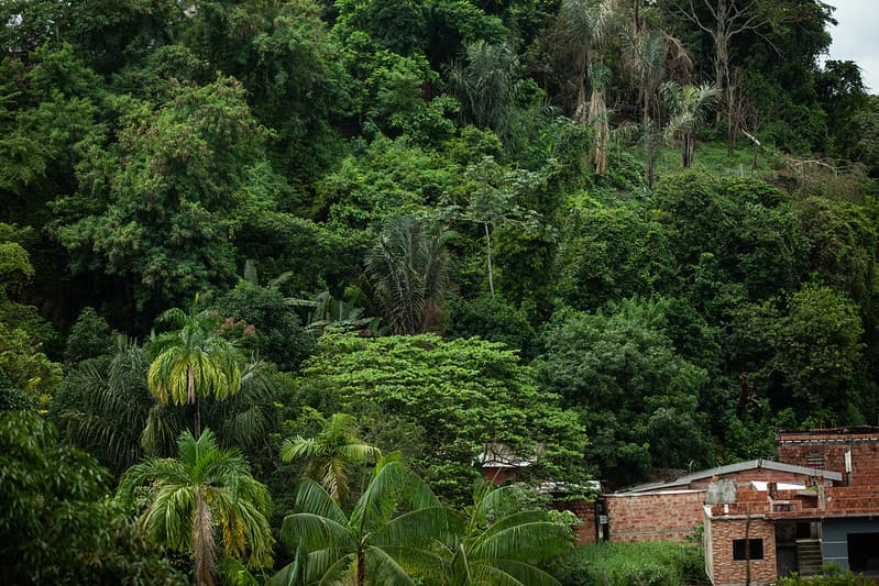 Vara do Meio Ambiente decide sobre &#8220;invasão&#8221; do residencial Vila Real