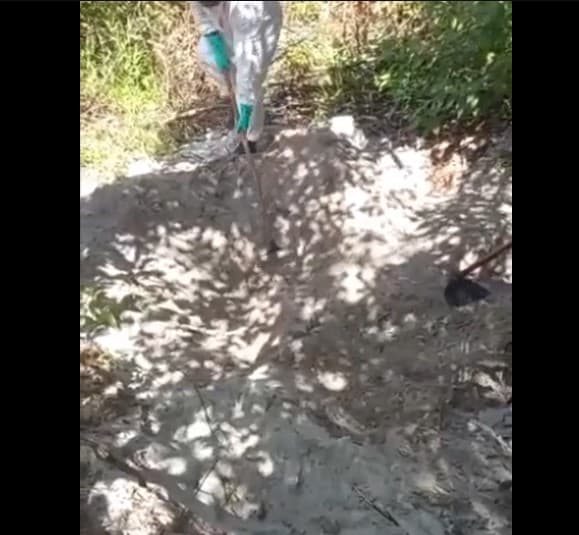 Corpo em decomposição é encontrado em terreno particular