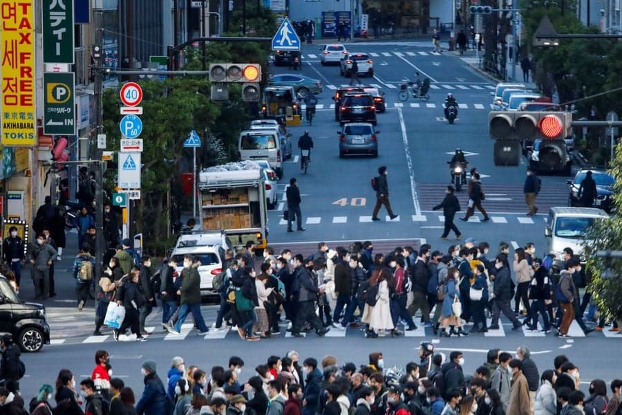 Japão declara guerra ao pólen para combater febre do feno