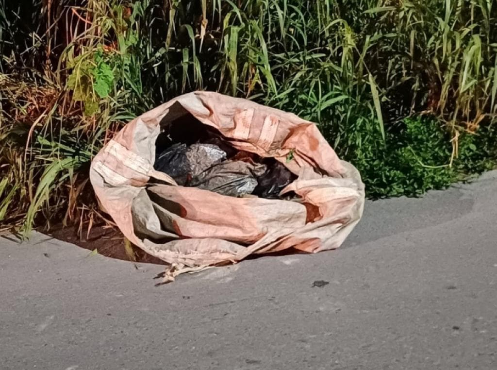 Corpo é encontrado esquartejado em avenida de Manaus