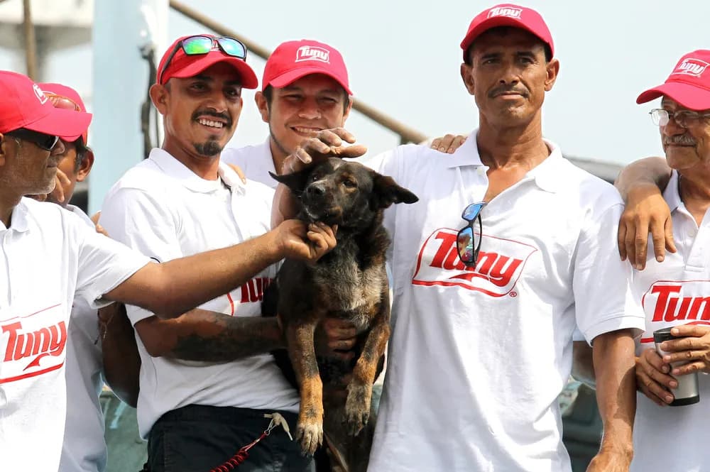 Náufrago encontrado junto com cadela deixa o animal para equipe de resgate