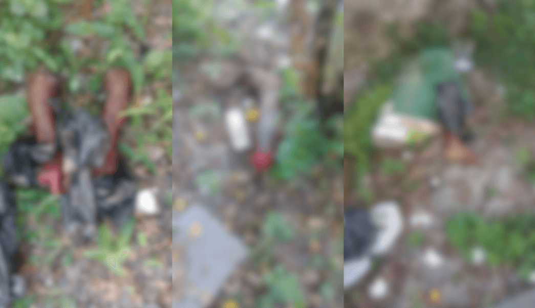 VÍDEO: Corpo esquartejado é encontrado em área de mata, em Manaus
