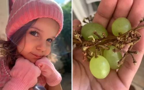 Menina de 3 anos se engasga com uva e morre em Goiás