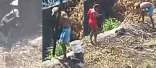 VÍDEO: Veja o momento em que homens enterram cadáver em terreno baldio, em Manaus