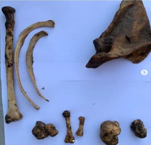 Ossada é encontrada na Ponta Negra nesta quarta-feira (27)