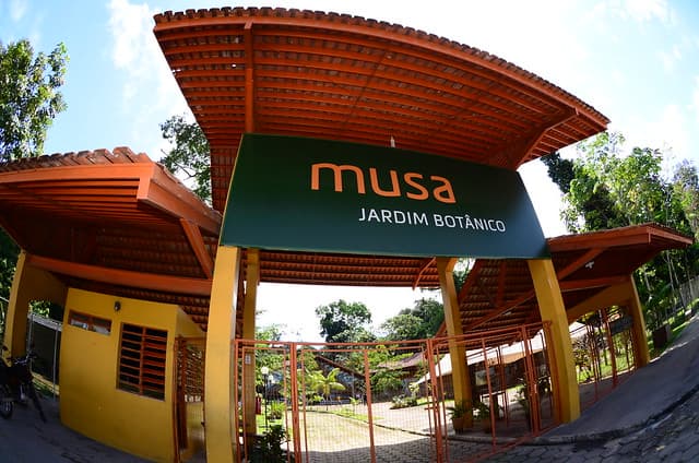 Museu da Amazônia terá entrada gratuita no Dia das Crianças, em Manaus