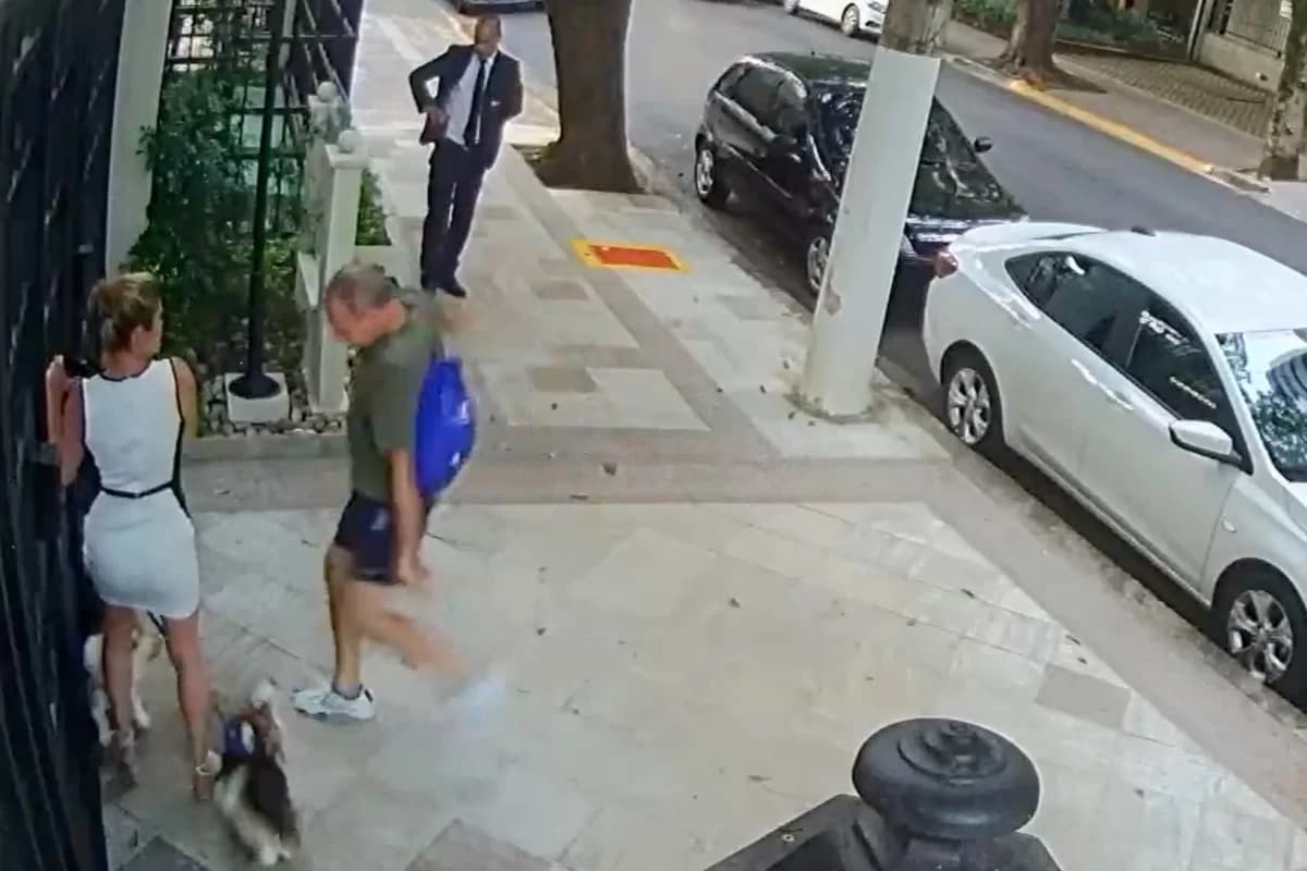 Irmã do ministro Zanin diz que homem a agrediu porque cachorro dela latiu