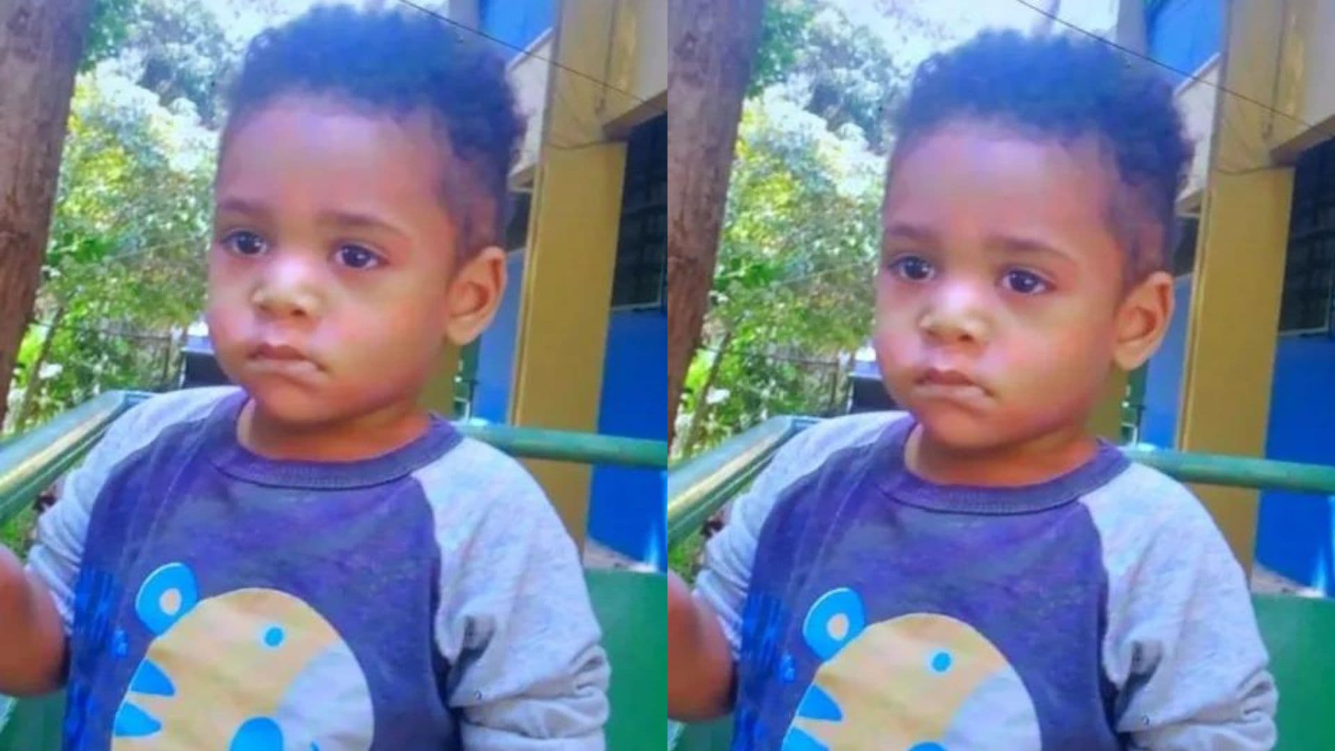 Criança de 2 anos morre após ser esquecida dentro de van escolar, em São Paulo