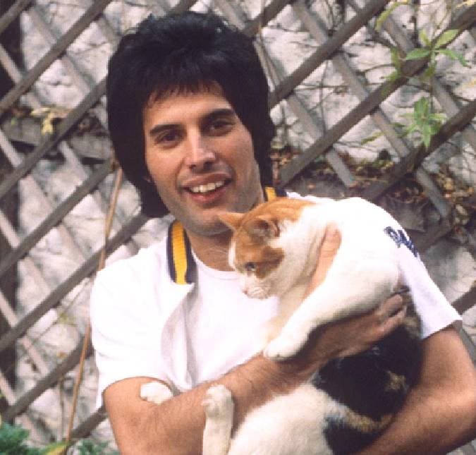 32 anos depois, veja as últimas fotos de Freddie Mercury em vida