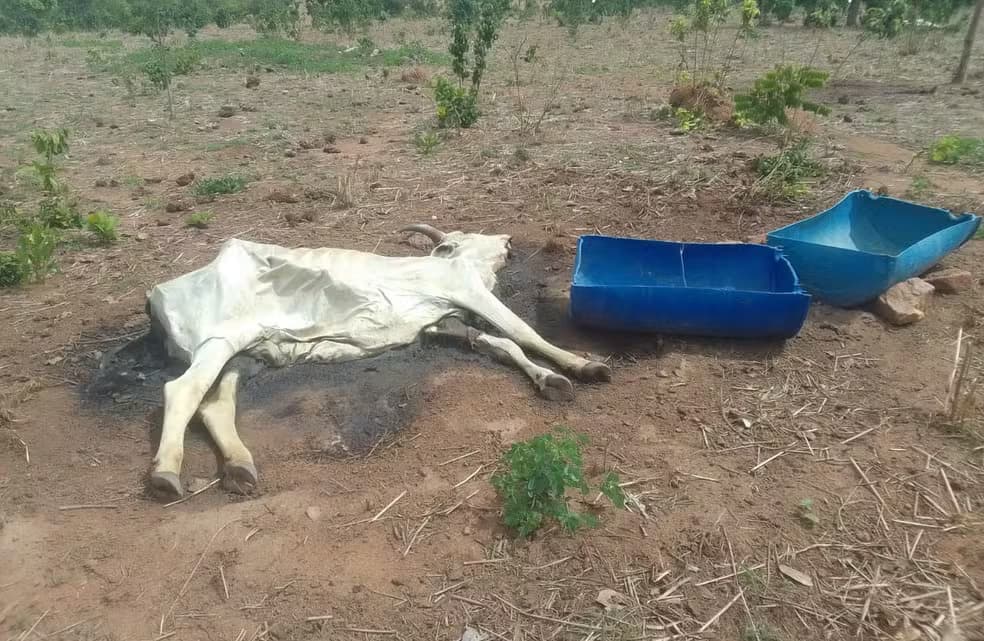 Com seca severa, cidades do Tocantins decretam situação de emergência