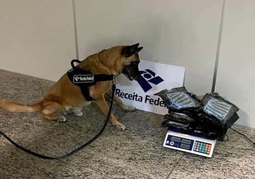 Mais de 6kg de maconha são apreendidos por trás de espelho, no banheiro do aeroporto de Manaus