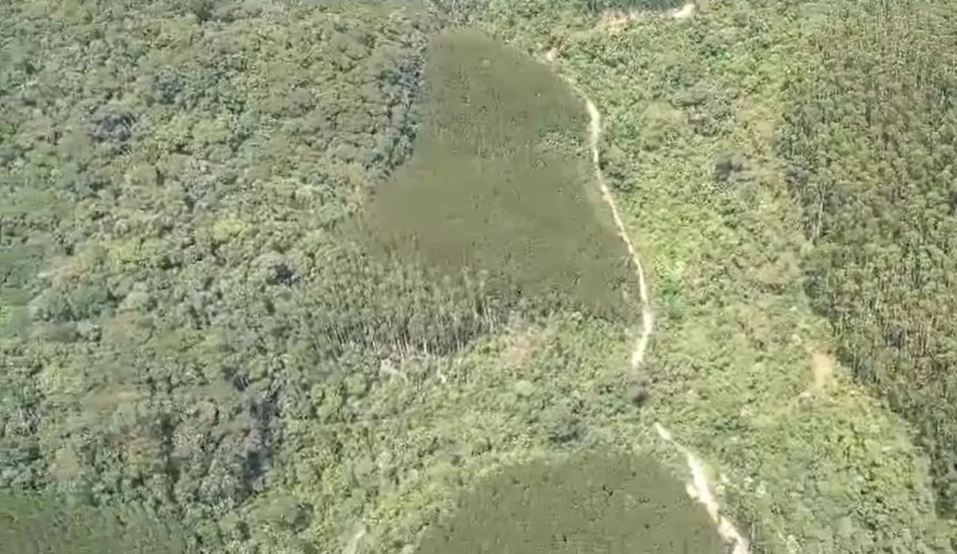 Busca por helicóptero: antena capta sinal de celular de um dos passageiros em SP