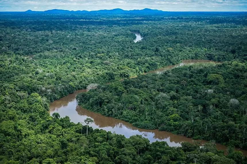 TCE-AM inicia auditoria para avaliar controle e proteção da floresta amazônica
