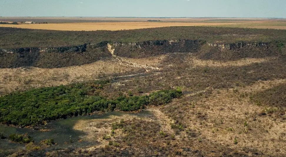 Alertas de desmatamento na Amazônia diminuem, mas aumentam no Cerrado