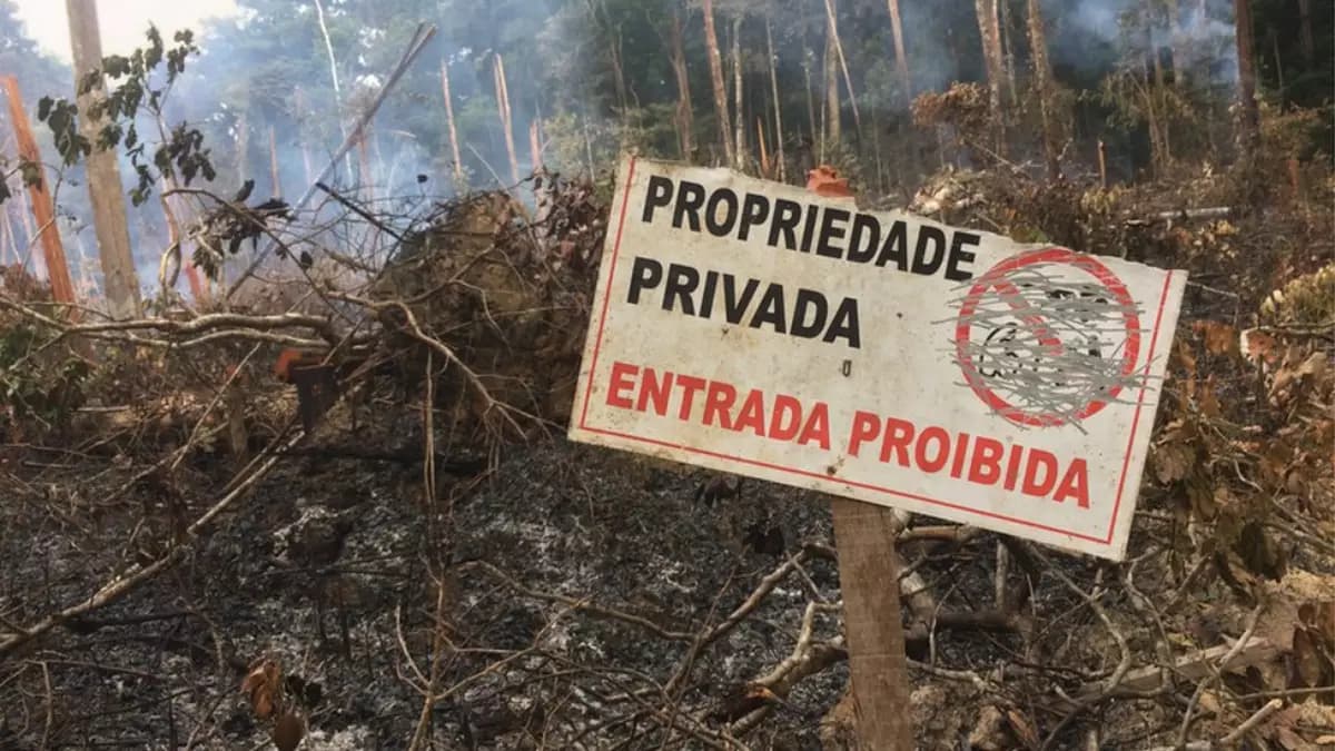 Com protestos do governo, Câmara aprova urgência a PL que pune invasões e ocupações de terras