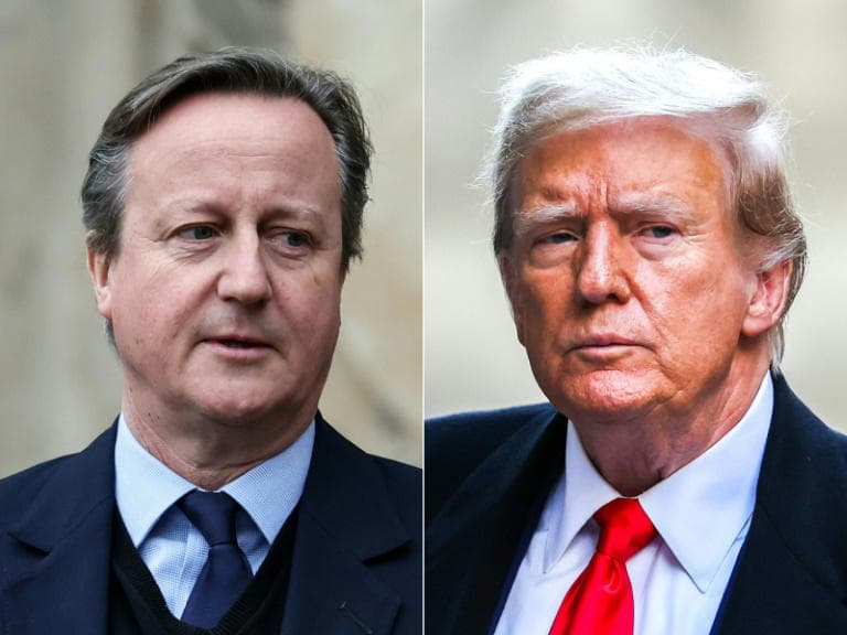 Antes de visitar Washington, Chanceler britânico se encontra com Trump para reforçar apoio à Ucrânia
