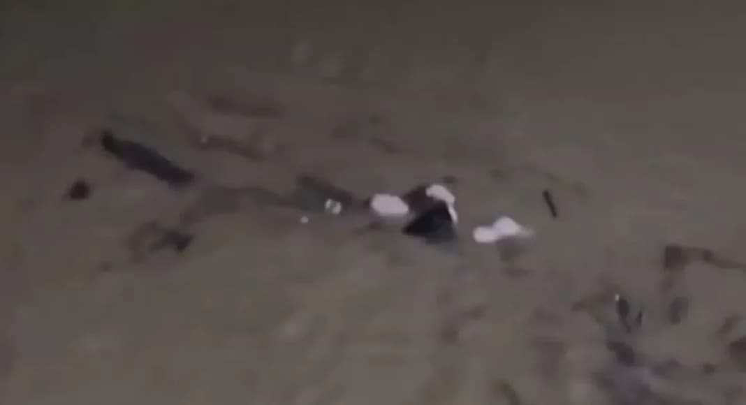 VÍDEO: Mulher é arrastada pela correnteza enquanto segura em tronco de árvore, em SC