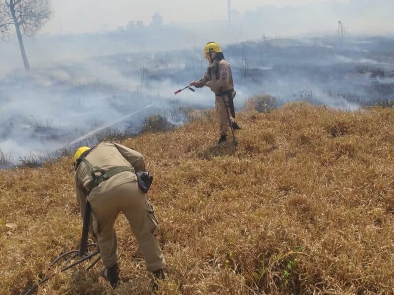 Bombeiros combatem 30 focos de incêndio em fazenda, em Apuí