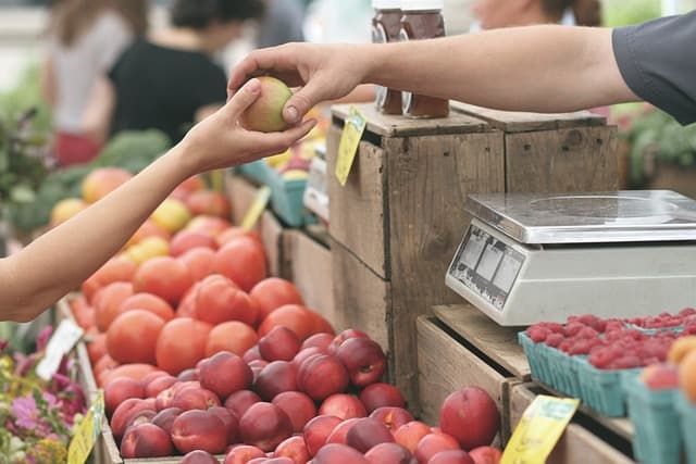 Comerciante é investigado após vender frutas e legumes com veneno de rato no Pará