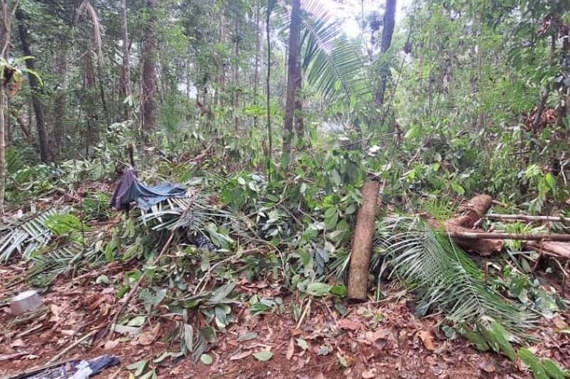Homens são presos por crime ambiental e posse ilegal de arma de fogo em Manicoré