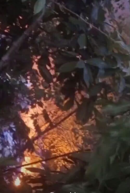 Moradores deixam casa após fogo se alastrar em área de mata no Jorge Texeira