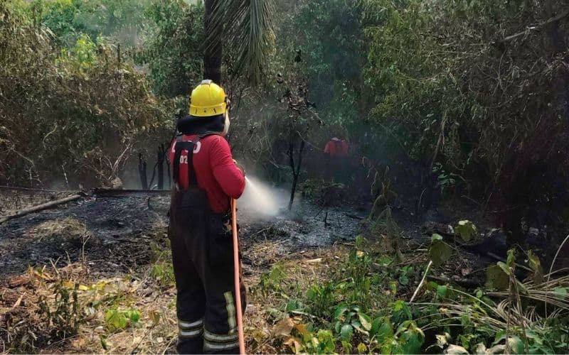 Em chamas: Manaus registra 33 incêndios durante o fim de semana