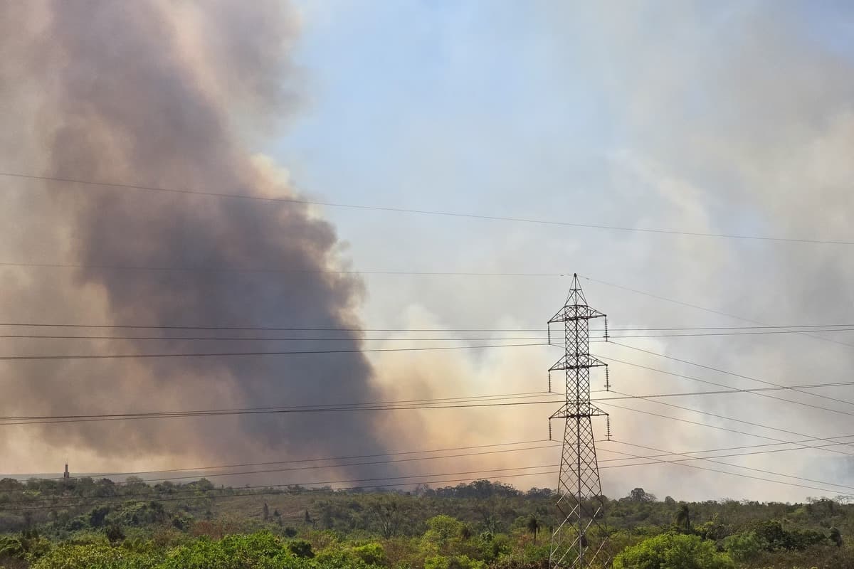 VÍDEO: Incêndio de grandes proporções atinge Parque Nacional de Brasília