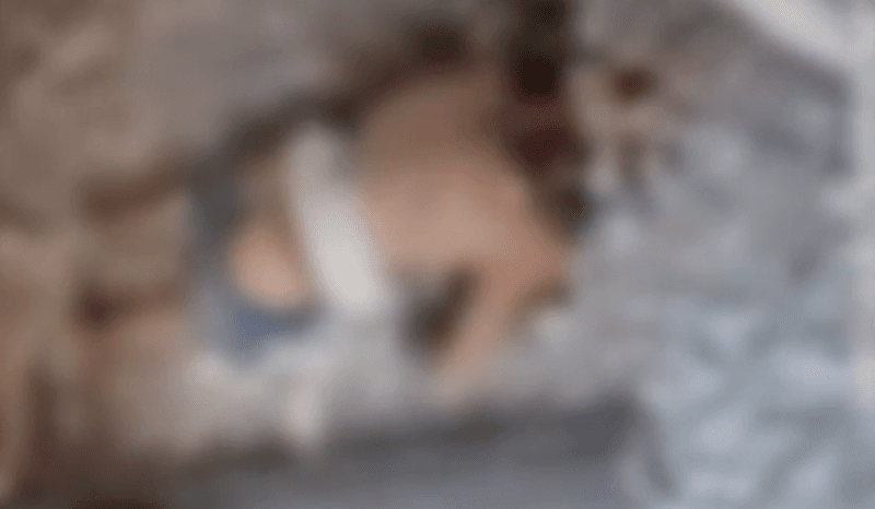 VÍDEO: Explosão em apartamento arranca cabeça e braços de homem em Goiás