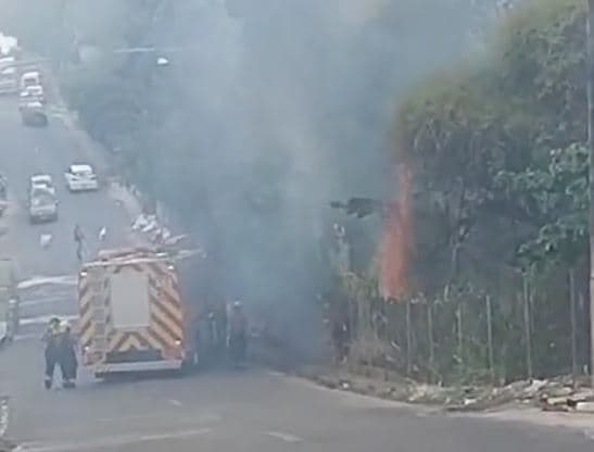 VÍDEO: Incêndio se alastra em matagal no bairro Alvorada