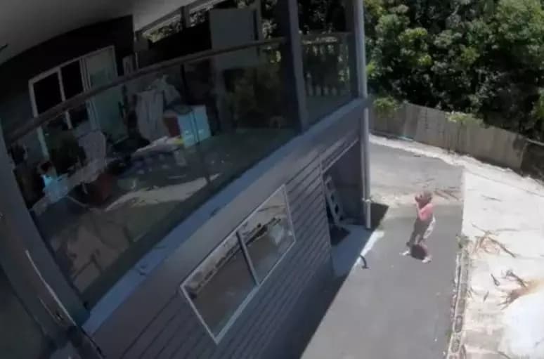 VÍDEO: Cobra despenca de porta de garagem e assusta moradora na Austrália