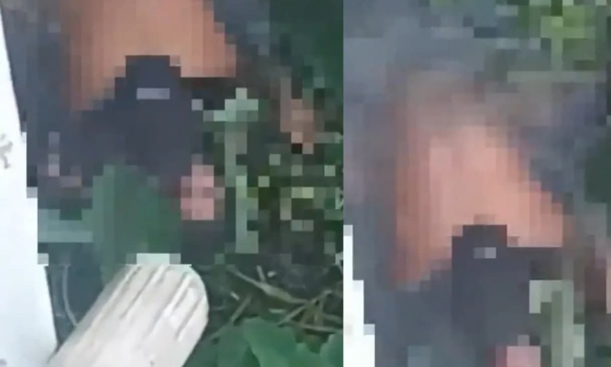 VÍDEO: Casal é flagrado em ato sexual à beira de igarapé em Manaus