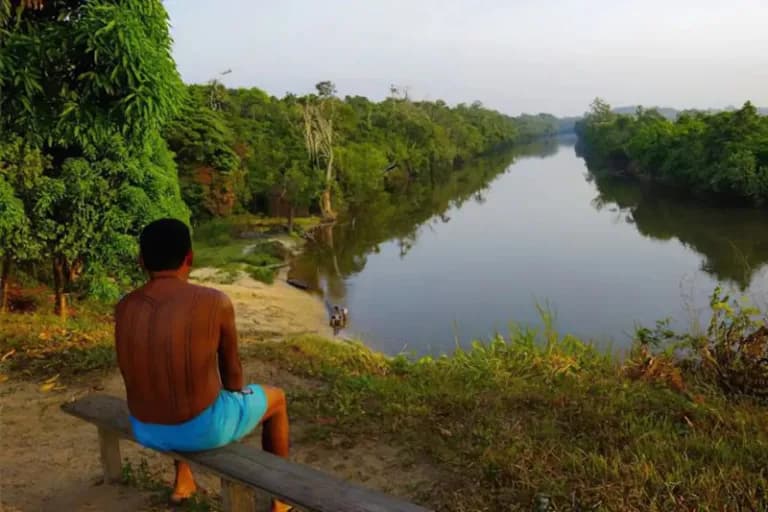 Quase metade do territorio da Amazônia Lega é formada por áreas protegidas, diz IBGE
