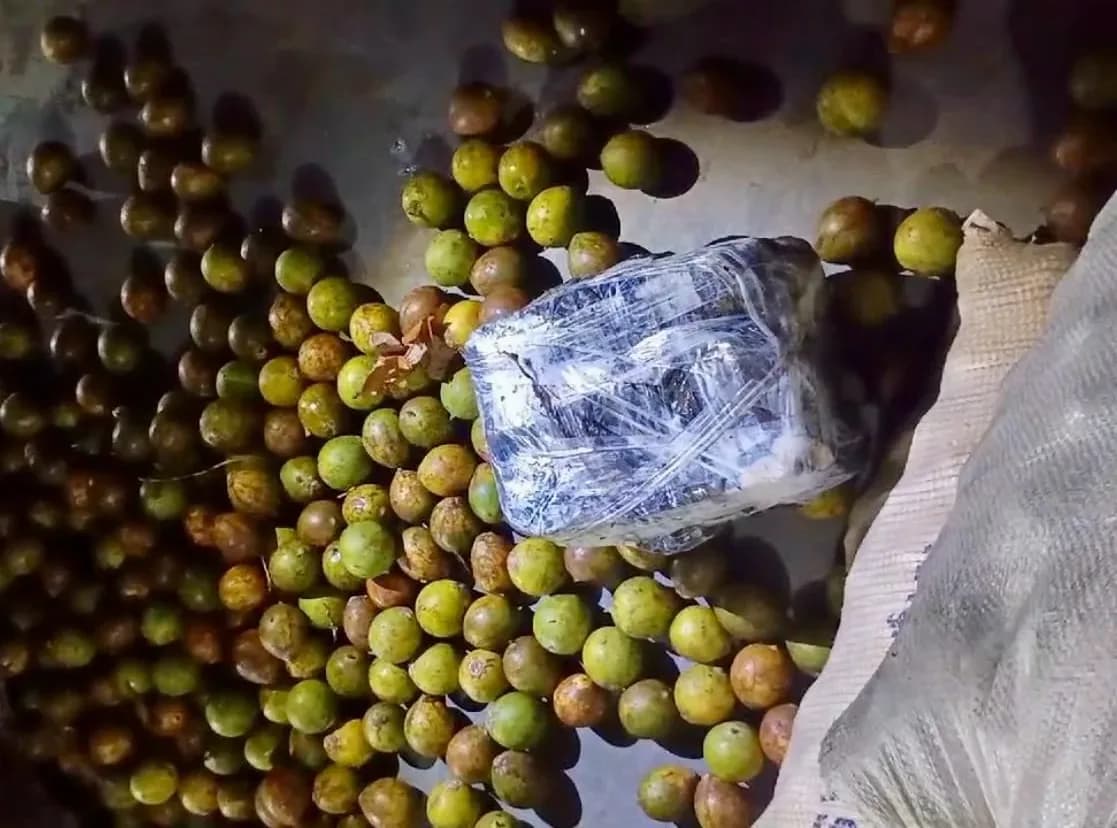 Em Coari, polícia apreende 6 kg de maconha escondidos em sacas de tucumã, em barco