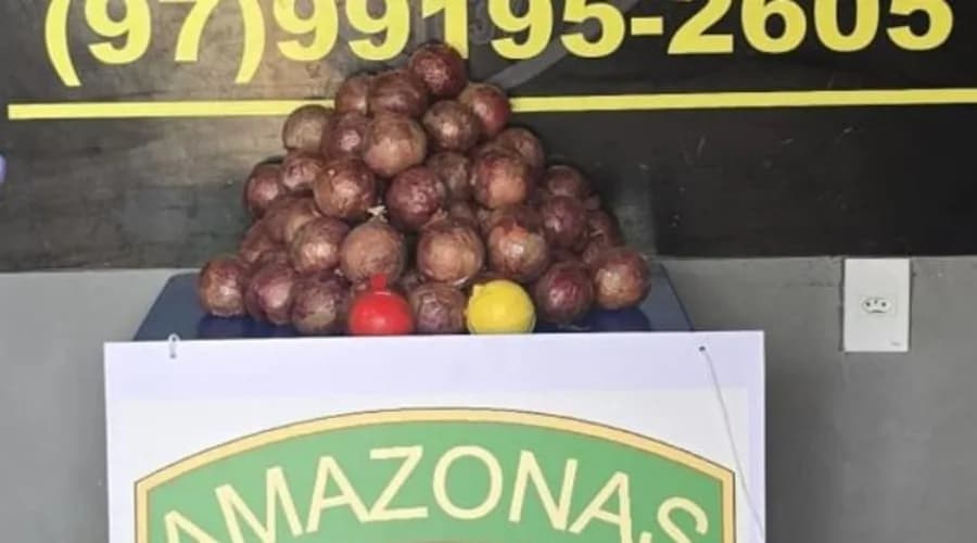Polícia apreende drogas disfarçadas de cebolas no Amazonas