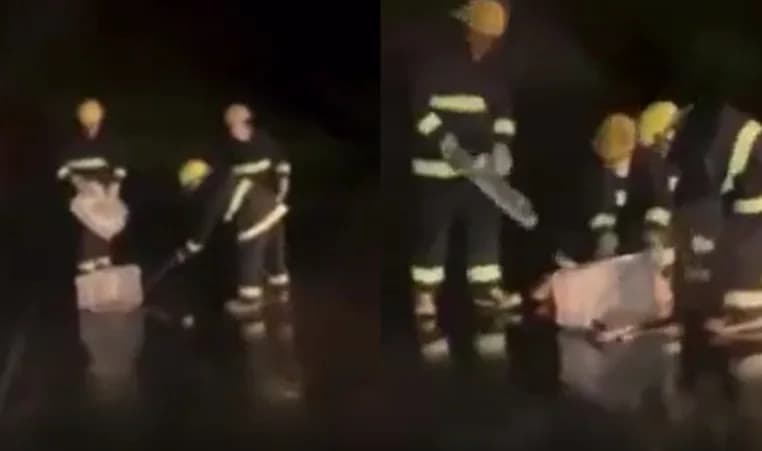 VÍDEO: Cobra na pista faz voo da Azul interromper decolagem em Cuiabá