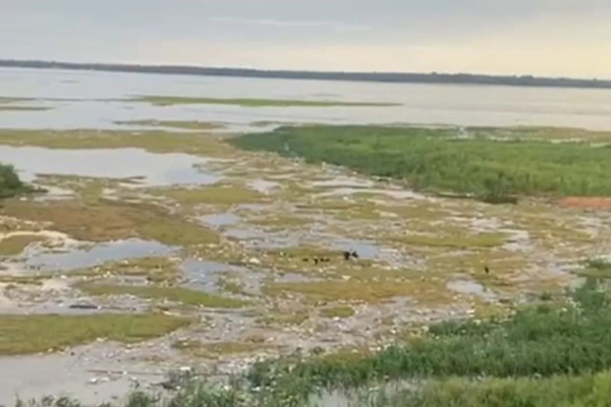Corpo sem cabeça e braços é encontrado na orla do São Raimundo, em Manaus