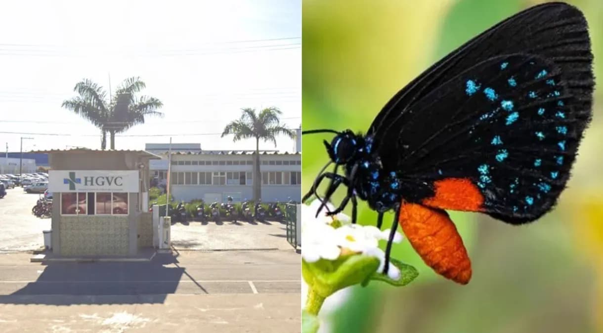 Adolescente de 14 anos injeta água com borboleta no corpo e morre na Bahia