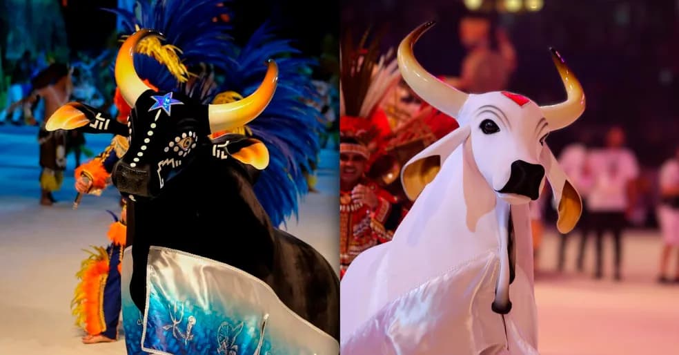 Ensaios dos Bumbás 2025: Confira a programação de Caprichoso e Garantido em Manaus