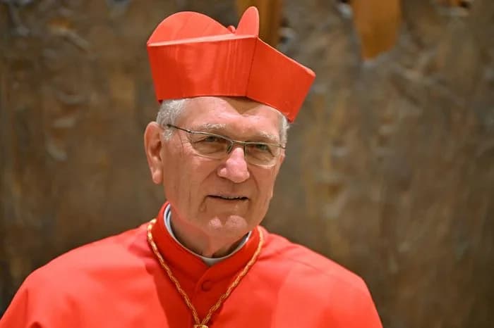 Após morte do papa Francisco, arcebispo de Manaus pode entrar na linha sucessória
