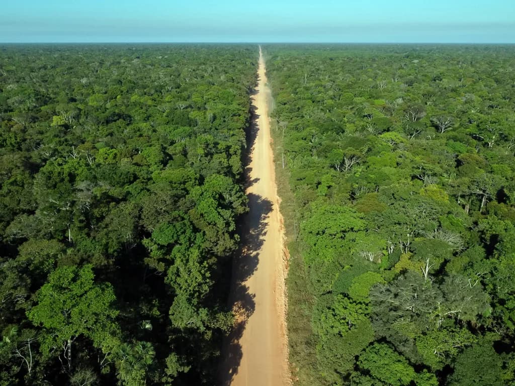 Indústria quer prioridade para BRs, hidrovia, portos e infovias no Amazonas