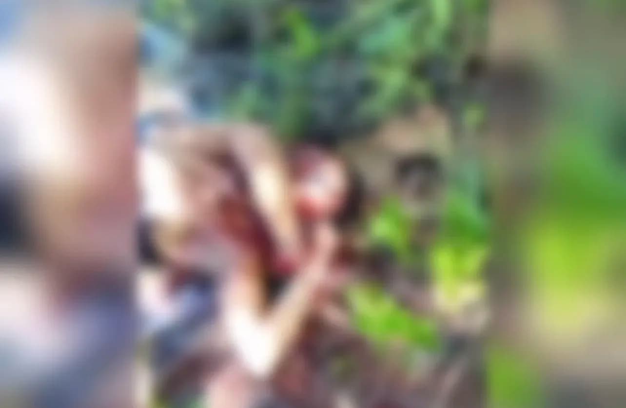 IMAGENS FORTES: Mulher é encontrada morta com o pescoço &#8216;degolado&#8217; no Pará