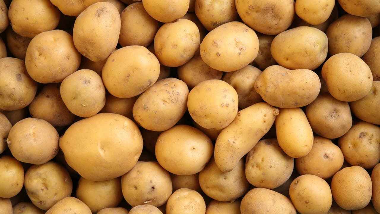 Veja quais são os maiores benefícios da batata para a saúde