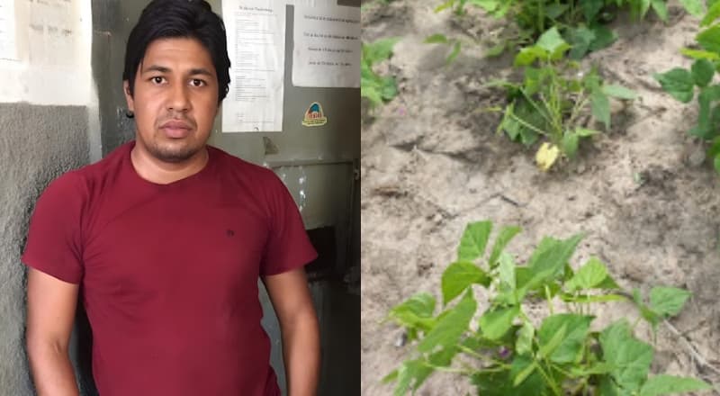 IMAGEM FORTE: Homem é encontrado em matagal com a cabeça dilacerada a tiros