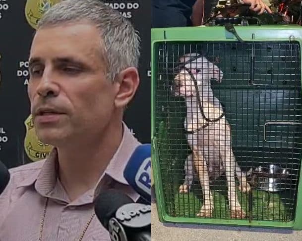 Moradores denunciam mulher por maus-tratos contra cadela que comia restos mortais de outro cão