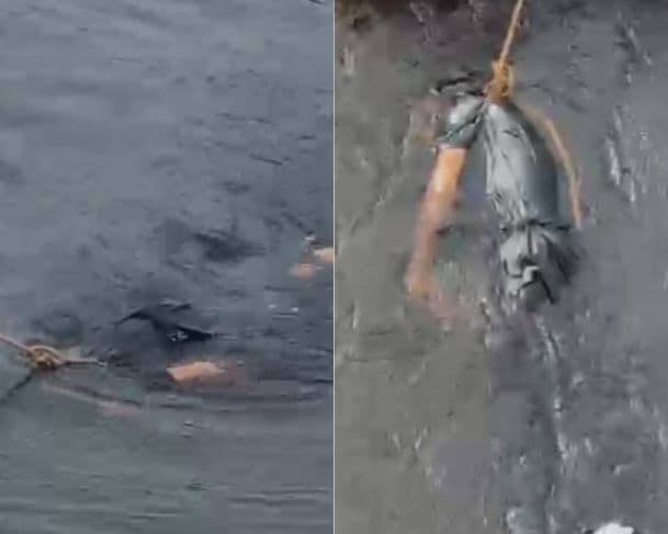 VÍDEO: Corpo de homem é encontrado no Balneário do Miriti, em Manacapuru